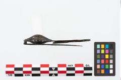 Foto von Bronzekahnfibel (NHMW-PRAE-025662)